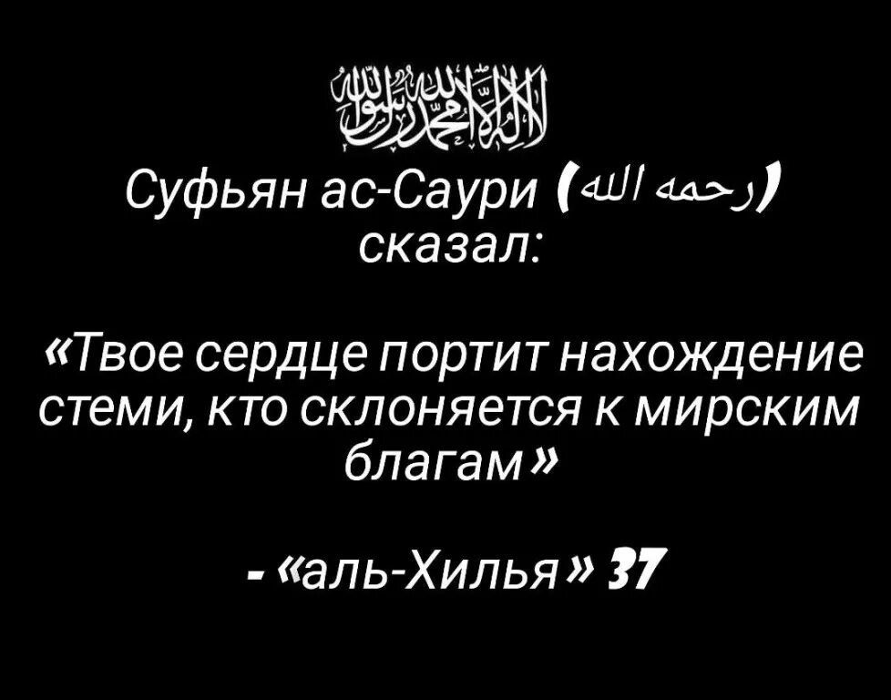 Имам Таймия. Ибн Таймия хадисы. Дунья и ахират в Исламе. Ибн аль таймия