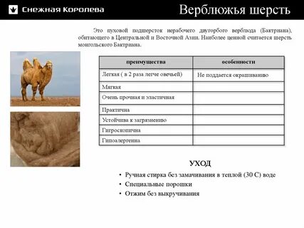 Верблюжья шерсть свойства