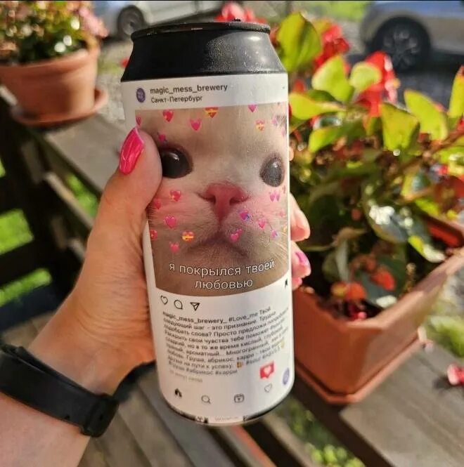Мэджик мэсс острое пиво. Magic mess brewery пиво. Пивоварня magic mess logo. Пивоварня magic mess logo. Magic mess.