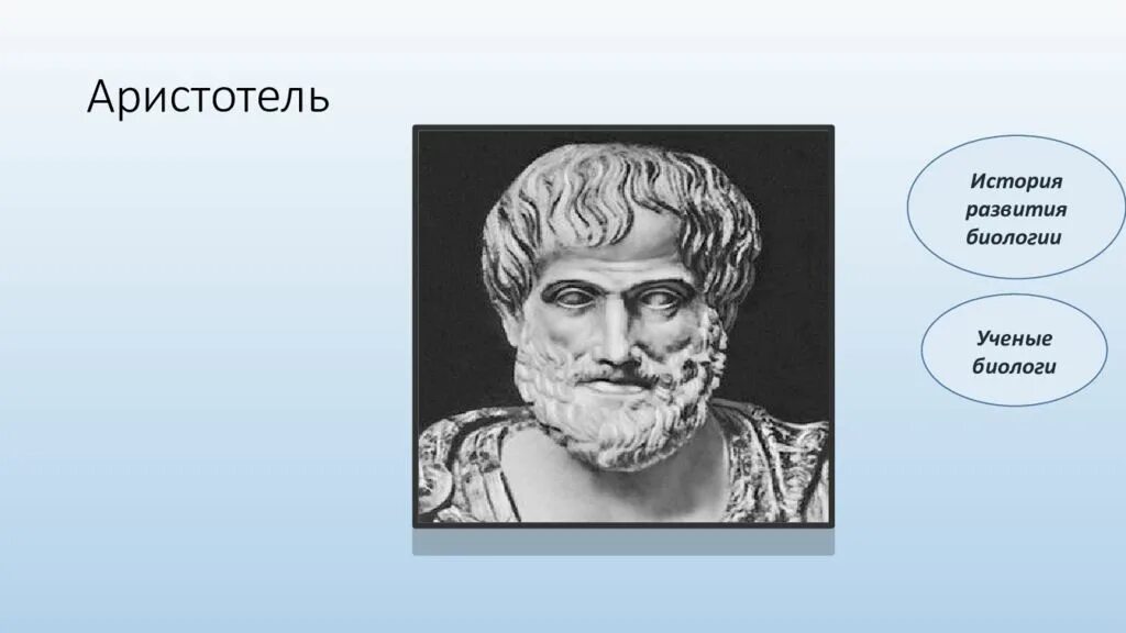 Аристотель ученый биолог. Аристотель биология 5 класс. Аристотель биография. Аристотель презентация.