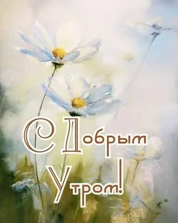 Начинаю нежно