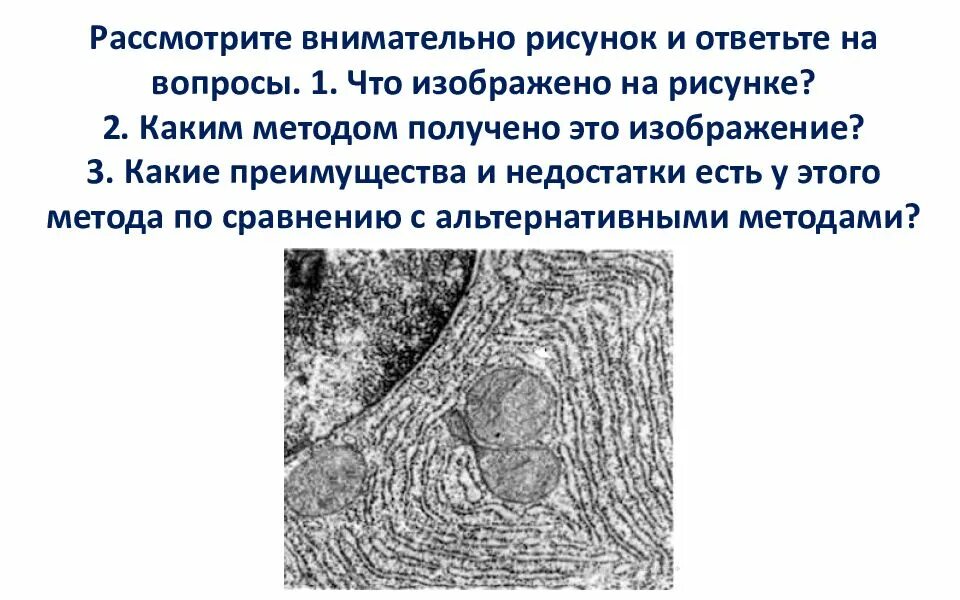 Внимательно рассмотрите рисунок и ответьте на вопросы. Каким методом получено это изображение. Что изображено на рисунке каким методом получено это изображение. Что изображено на рисунке каким методом получена эта фотография.