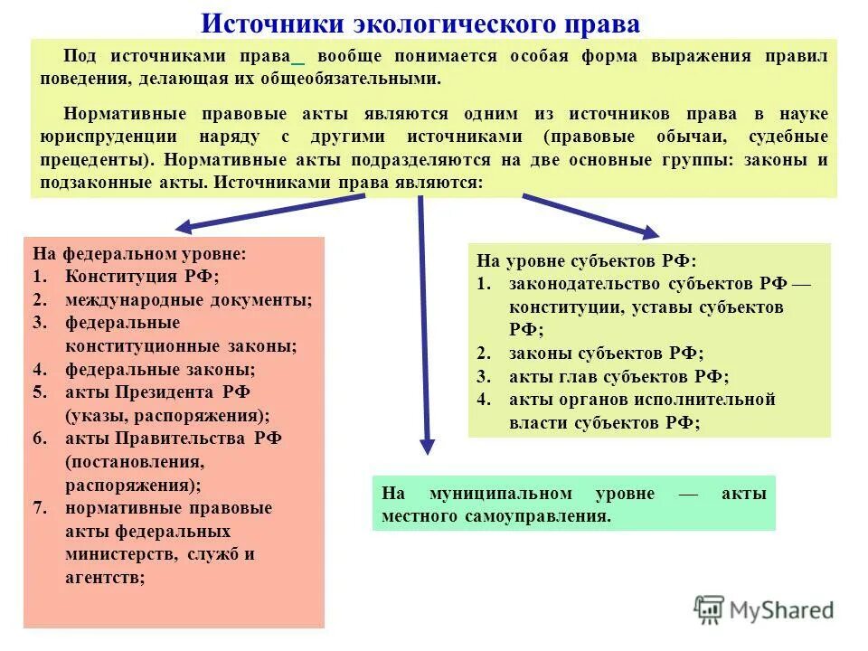 Экологическое право курсовая