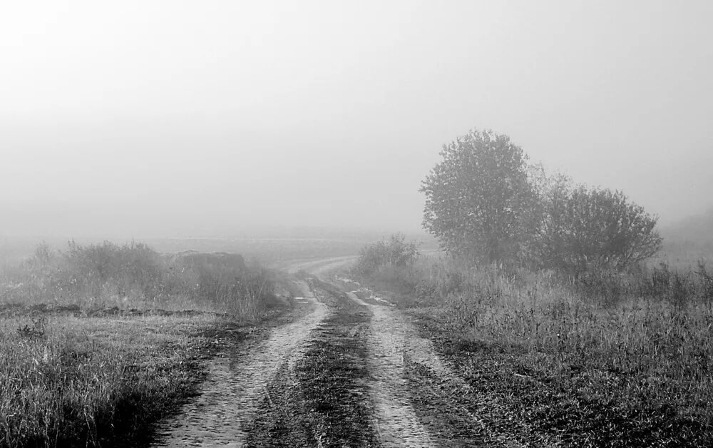 Холода дороги песня. Степной бурьян. Эх дороги пыль да туман. Пыль дороги степь да туман. Эз дороги, пыль да туман.