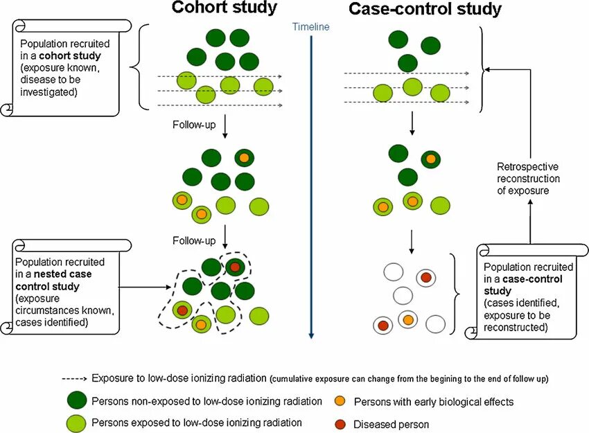 Population based study. Cohort studies examples. cpo_cohort это. over and under population case studies.