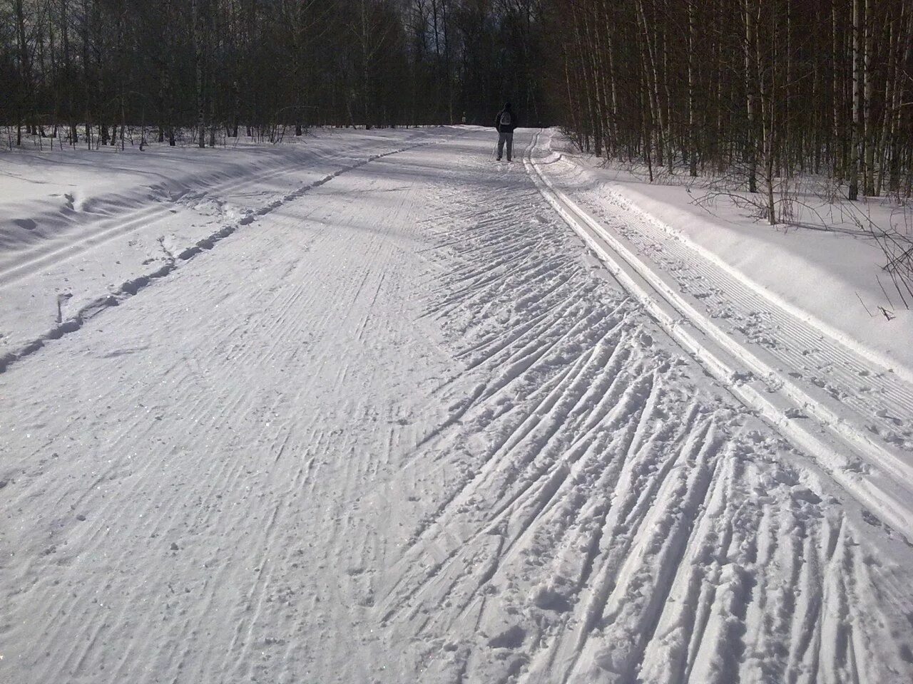 Лыжная трасса. Подготовленная лыжная трасса. Лыжные трассы для беговых лыж. Лыжня для классики.