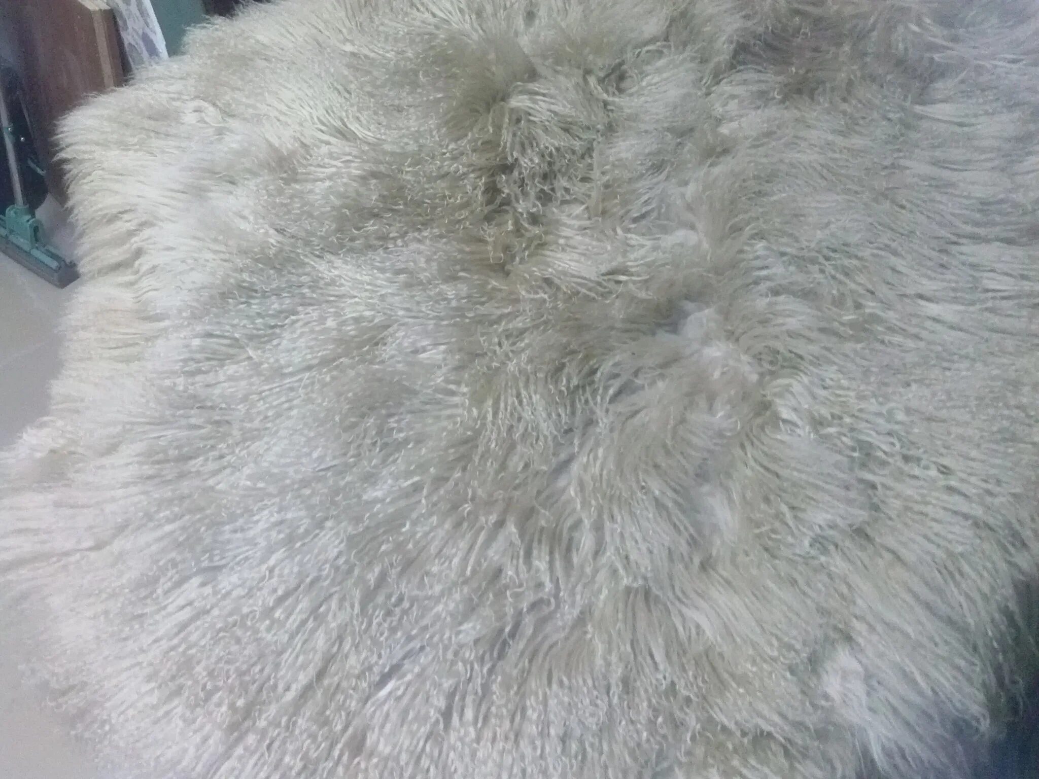 Как почистить белый мех. Как можно почистить мех. Отбеливатель для искусственного меха. Чистка меха норки. Искусственный мех.