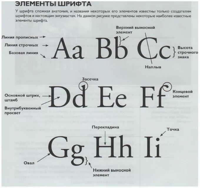 Высота букв шрифта называется. Анатомия шрифта и элементы. Элементы шрифта названия. Типографика анатомия шрифта. Основные элементы шрифта.