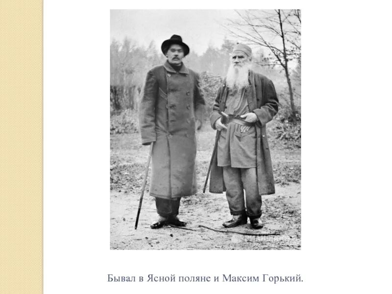 Ясная Поляна толстой и Горький 1900. Лев толстой и Чехов в Ясной Поляне.