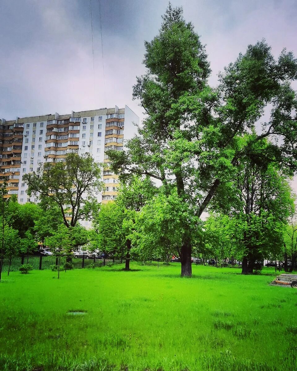 Люблино (район Москвы). Люблино зеленый район. Парк Люблино. Люблино район чудес.