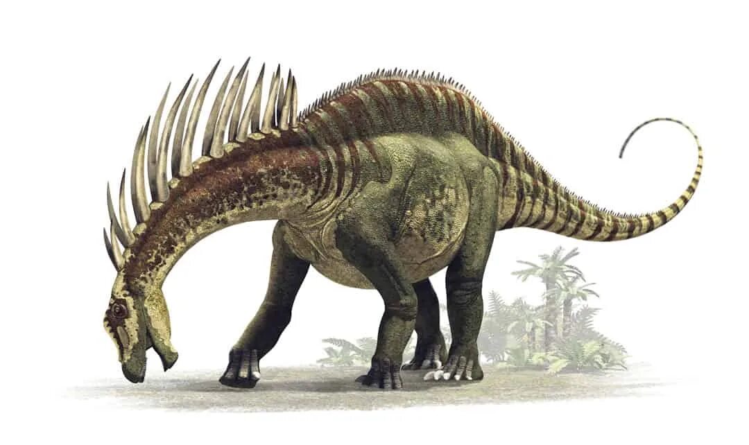 Динозавра завр. Амаргазавр. amargasaurus cazaui. амаргазавр динозавр. амаргазавр арк.