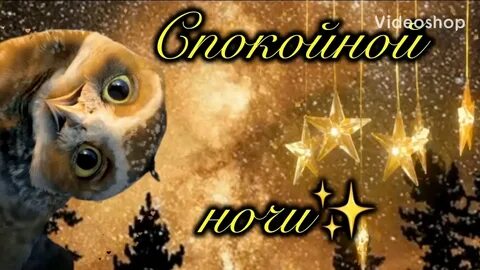 Видео спокойной ночи новые