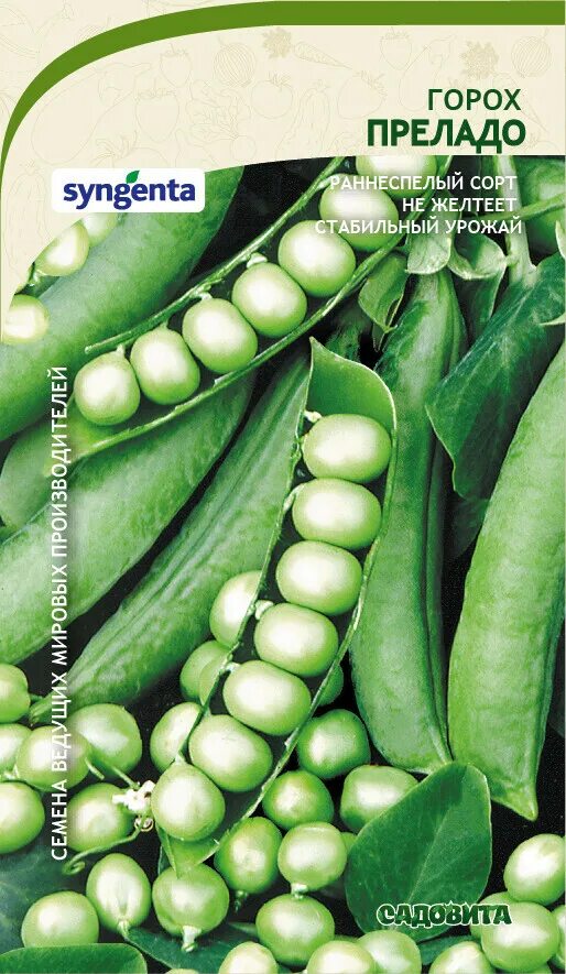 Горох джоф. Горох преладо. Горох растение. Зеленый горошек стручковый 9 горошин. Горох преладо фото.