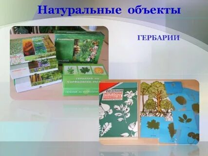 Натуральные объекты