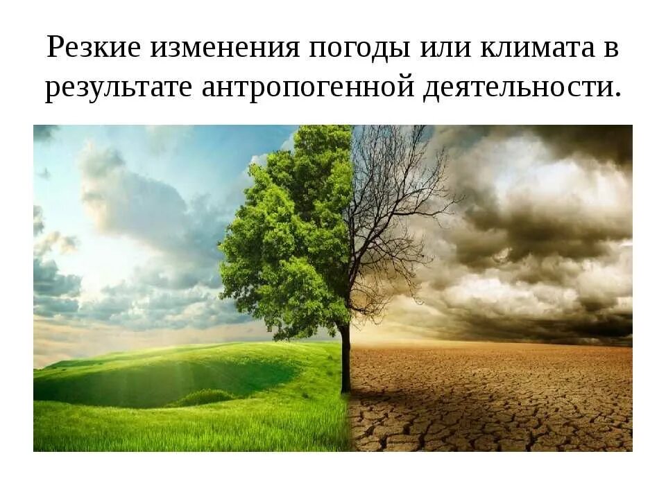 Изменение погоды. Изменение климата. Антропогенные факторы изменения климата. Изменения климата на леса. Резкое изменение условий среды