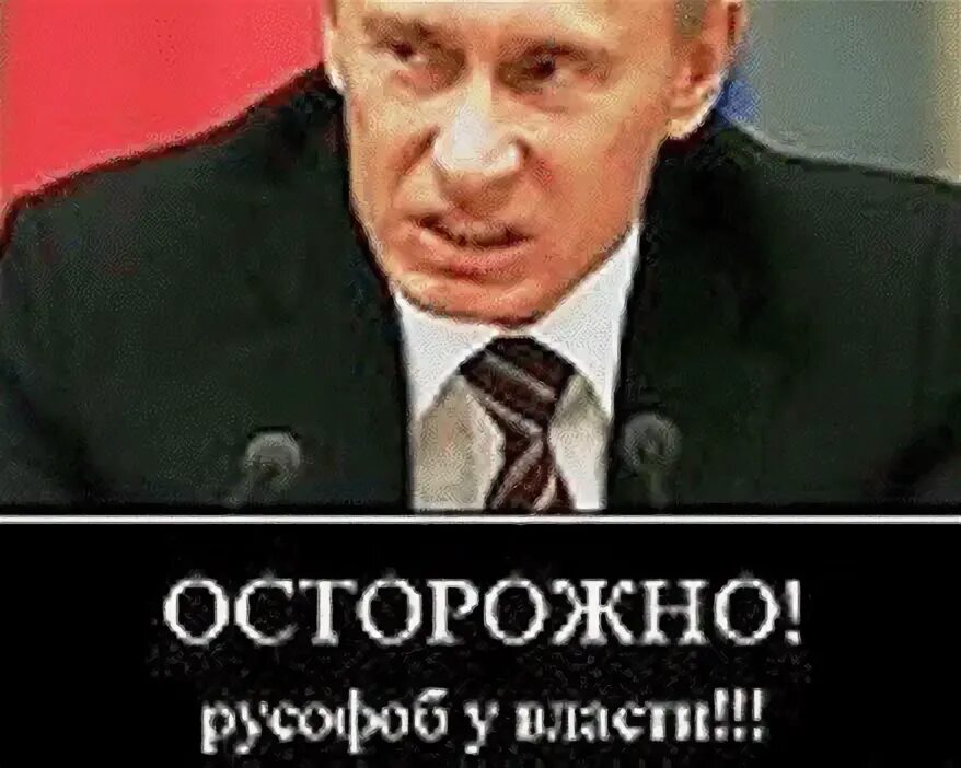 Латвия карикатура. Не дам русофобом. Русофобы картинки. Не дам русофобом. Русофобы картинки.