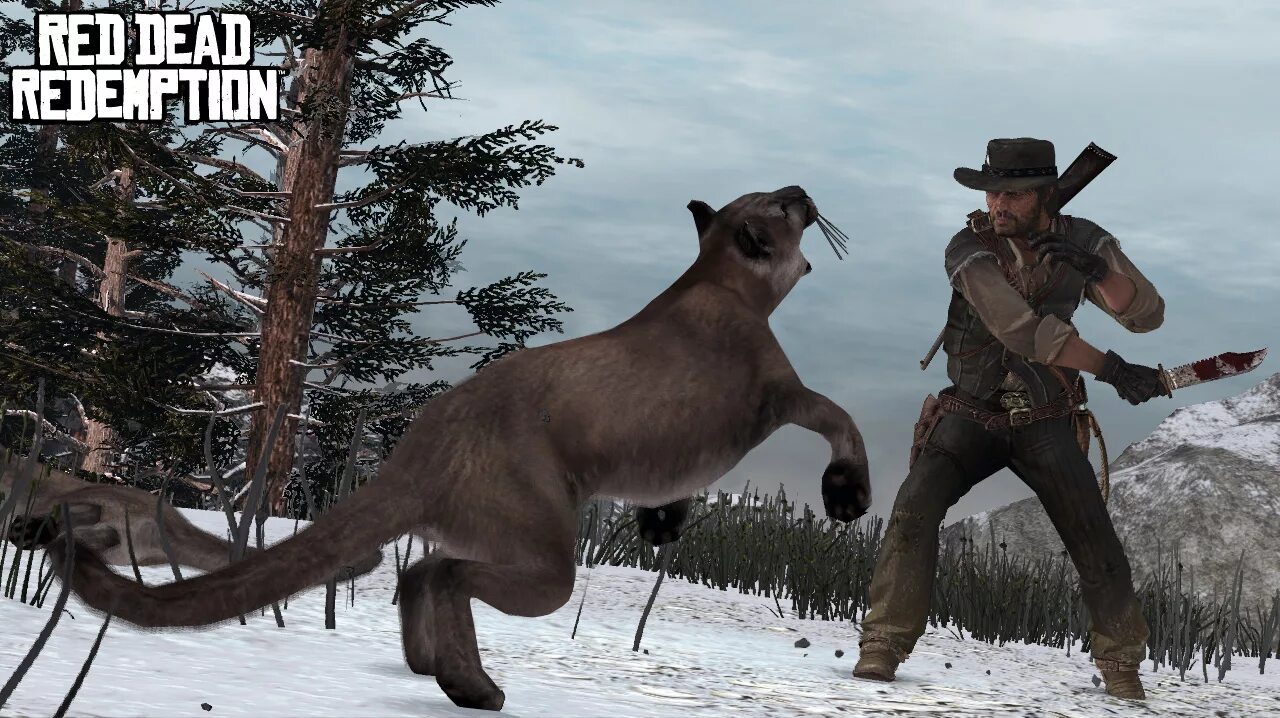 Rdr пума. Red dead redemption 2 легендарная пума. dead redemption 2 пумы. охота на пуму в red dead redemption 2. пума рдр 2.