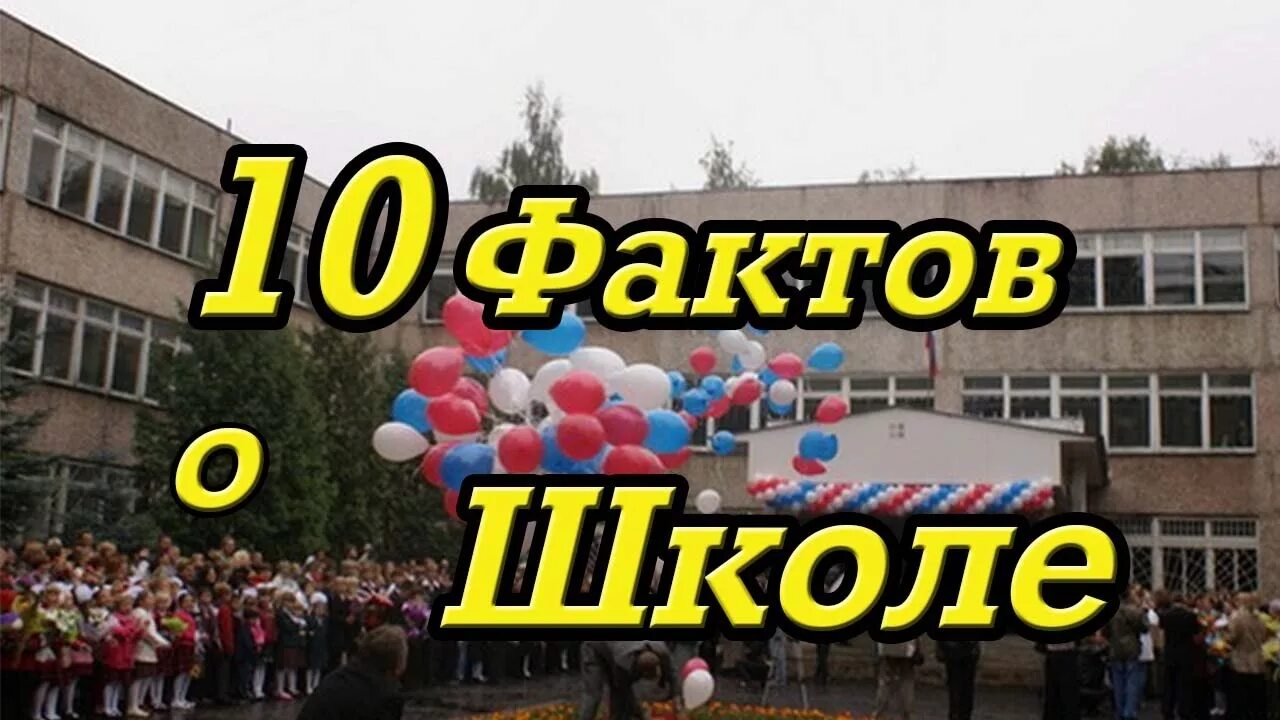 Факты о школе. 10 фактов о школах. Интересные факты о британских школах. Факты о сша. Факты о греческих школах.