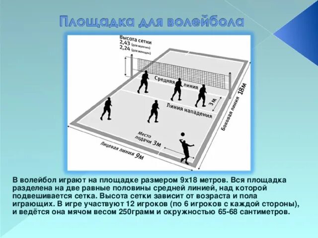 Позиции в команде волейбола. Площадка игры в волейбол и расстановка игроков. Пионербол высота сетки. Порядок игроков в волейболе. Расстановка позиций в волейболе.