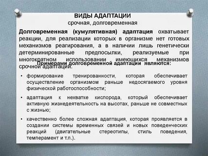 Дипломная работа адаптация