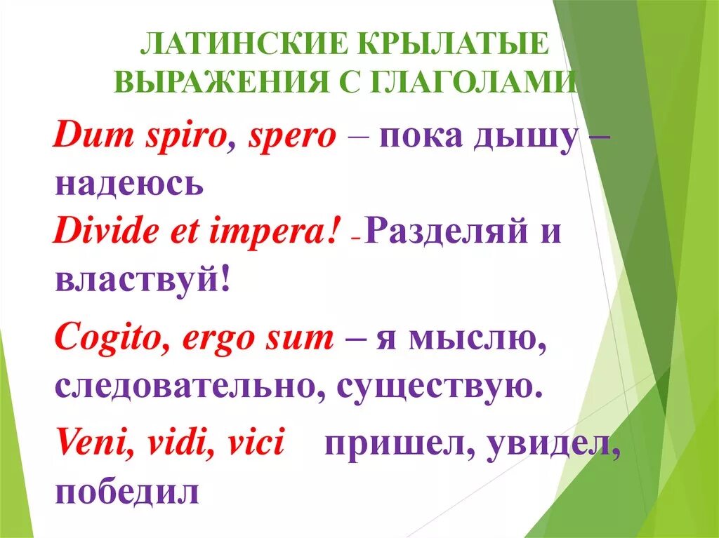 Крепкий латынь. Крылатые выражения на латыни. Латинские пословицы. Латинские фразы. Латинские крылатые выражения.