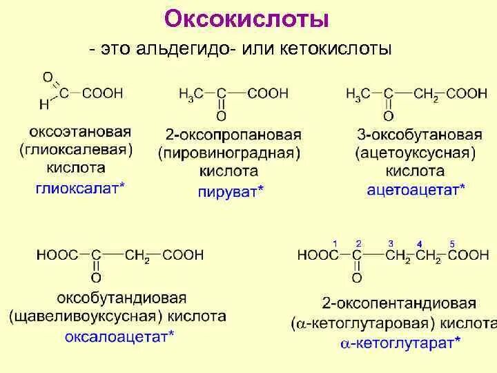 Изомерия кетокислот. Альфа кетокислоты формулы. Структурная формула кетокислота. Оксокислоты альдегидо- и кетокислоты. Сложный эфир образуется при взаимодействии этанола с