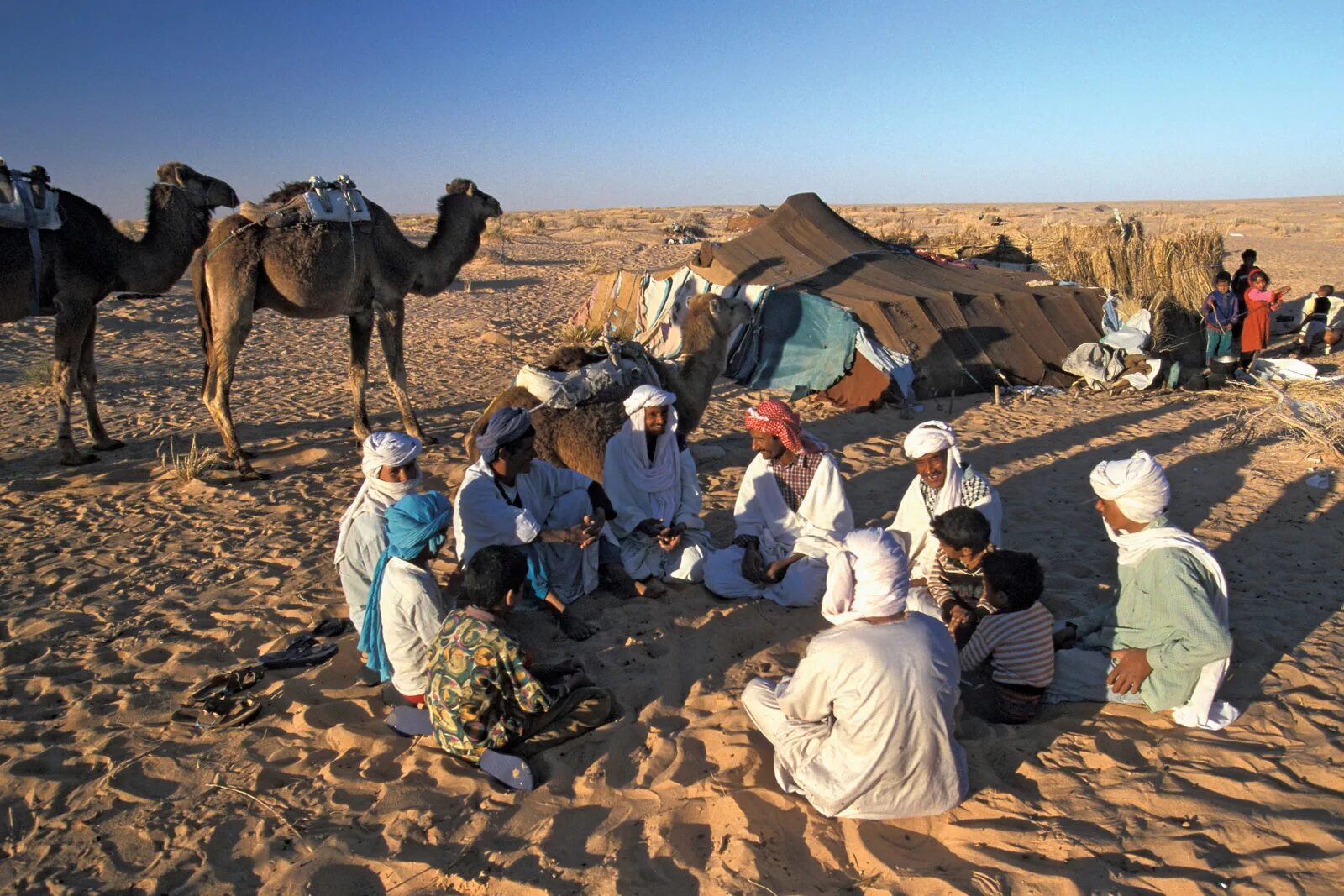 Занятия людей в пустыне. Бедуины Аравийского полуострова. Бедуины Саудовской Аравии. Бедуины в Египте. Бедуины в пустыне Египта.