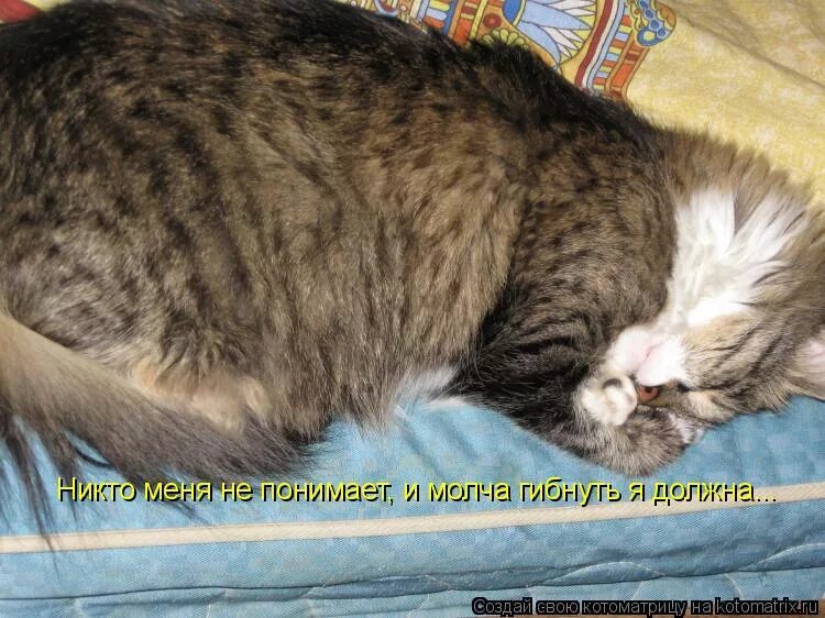 Рассудок мой изнемогает и молча. Меня никто не понимает. никто меня не понимает и молча гибнуть. ни кио мння не понимент. меня никто не понимает картинки.
