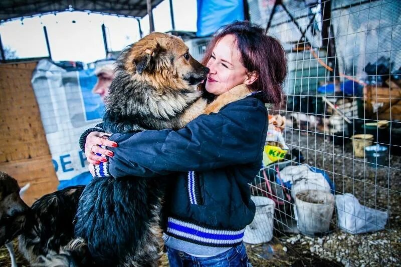 Поездка в приют для животных. Приют для собак. Волонтеры в приюте для животных. Собачий приют. Волонтеры саранск животные