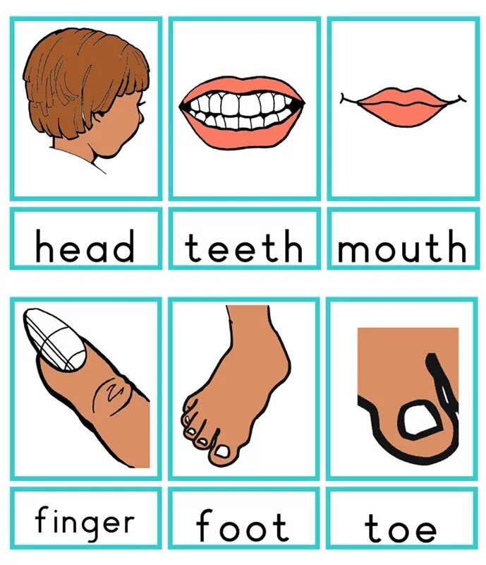 Глаза нос рот на английском. Body Parts. Face and body карточки. Body Parts for Kids. Body Parts Vocabulary for Kids.