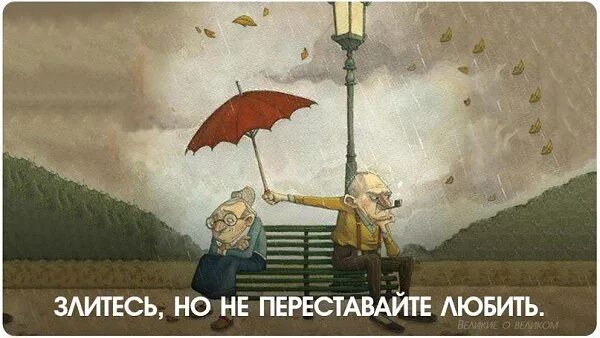 ты добрый это по жизни пригодится. я злюсь на тебя но люблю тебя. злиться хоть. цитаты про ссору с любимым. кот мем.