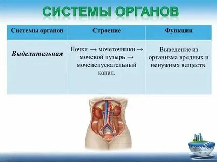 Удаление мочеиспускательного канала