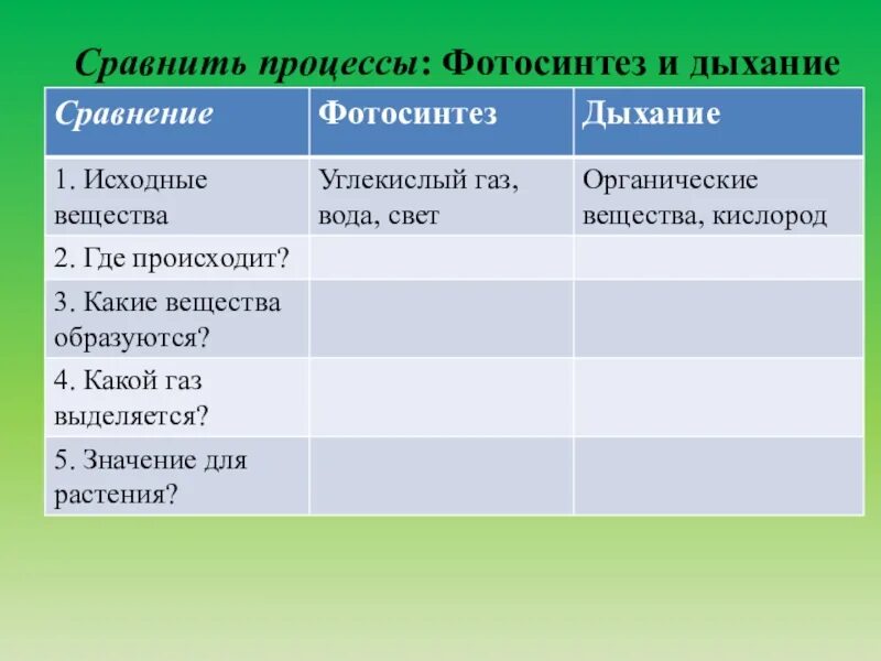 Дыхание как и фотосинтез ответы. Дыхание и фотосинтез 6 класс биология. Таблица дыхание растений биология 6. Процессы фотосинтеза и дыхания 6 класс. Дыхание растений 6 класс биология таблица.