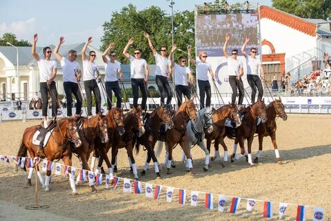 Конный фестиваль 2024