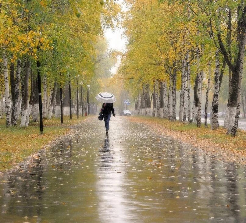 It is raining in autumn
