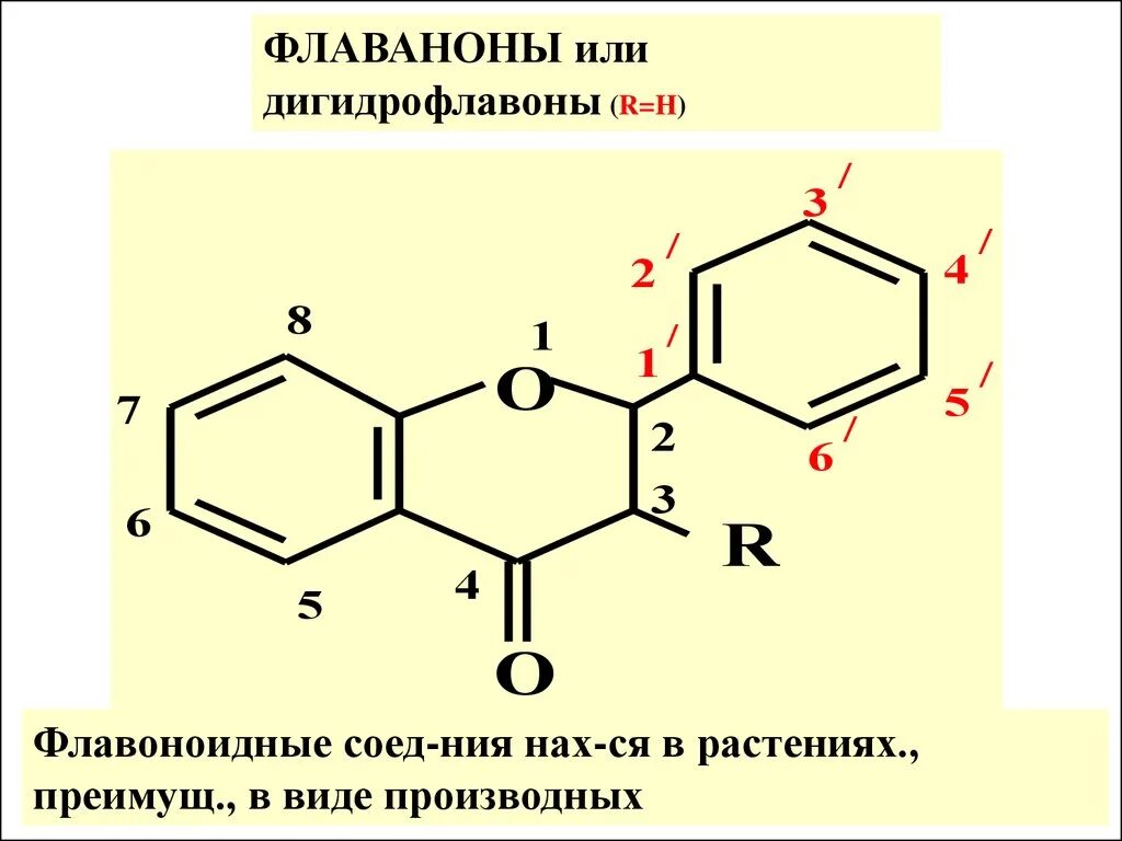 Флавоноиды содержат. Флавоноиды в растениях. разновидности флавоноидов. флавоноиды это бав. флавоноиды в лекарственных растениях.
