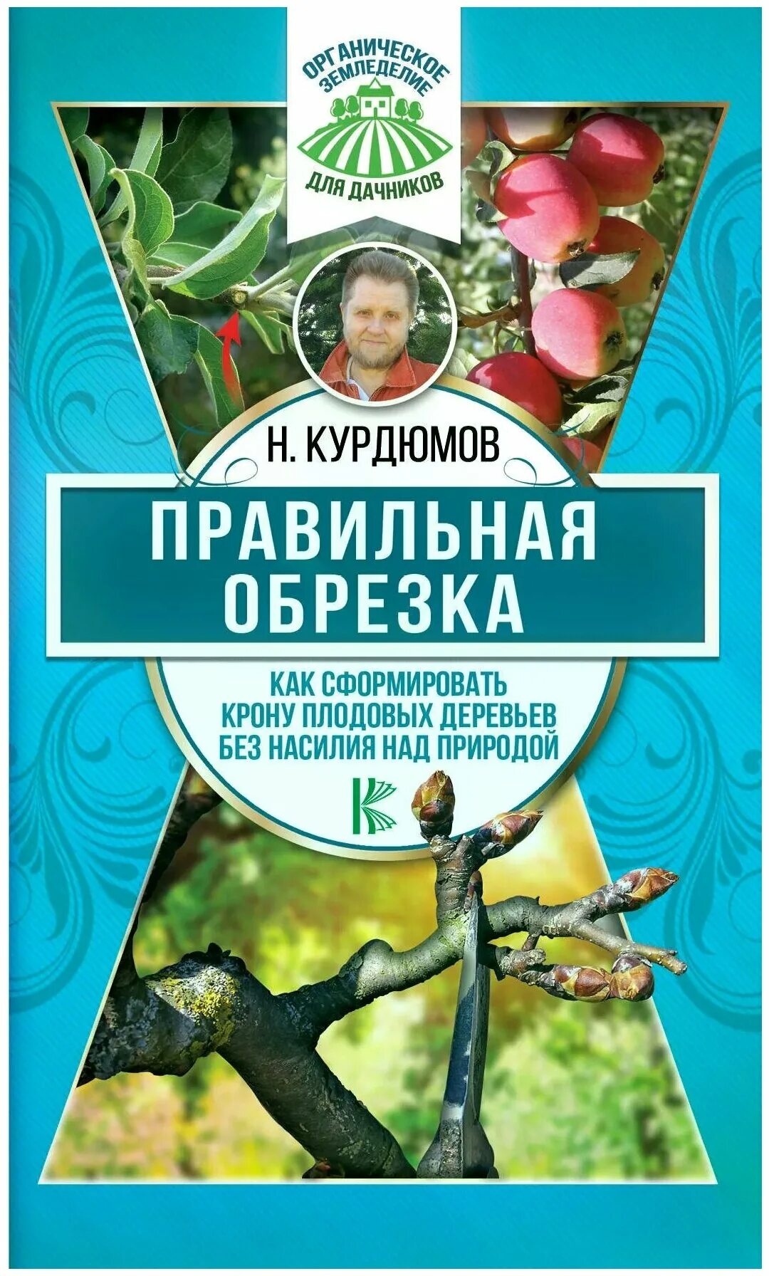 "основы агротехники плодовых культур" р. Садоводство обрезка книги. Книги по обрезке плодовых деревьев. Кудрявец книга кудрявец обрезка плодовых деревьев. Обрезка плодовых деревьев книга.