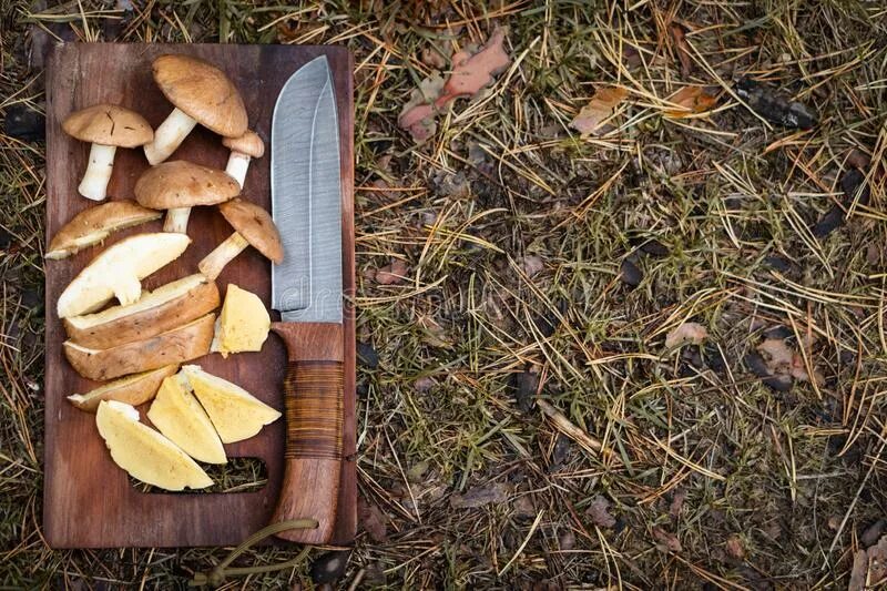 Добыча пищи в природных условиях. Бушкрафт лагерь для жизни. Добыча пища в экстремальных условиях. Питание в дикой природе. Добыча пищи.