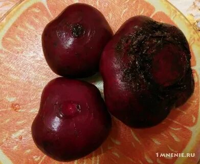 Свекла сорта египетская плоская