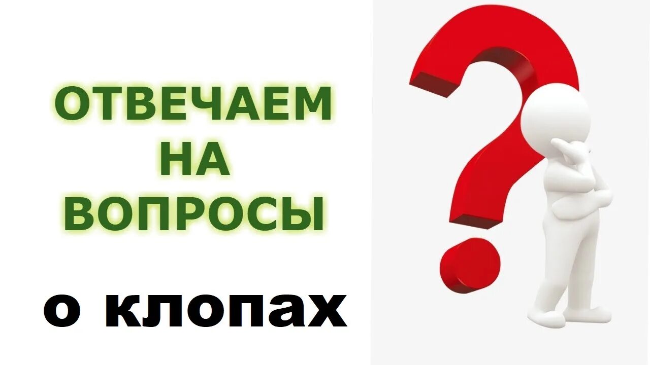 Отвечать на вопросы. Часто задаваемые вопросы. Ответы на ваши вопросы. Спрашиваете? Отвечаем!.