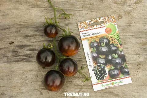 Томат хамелеон отзывы