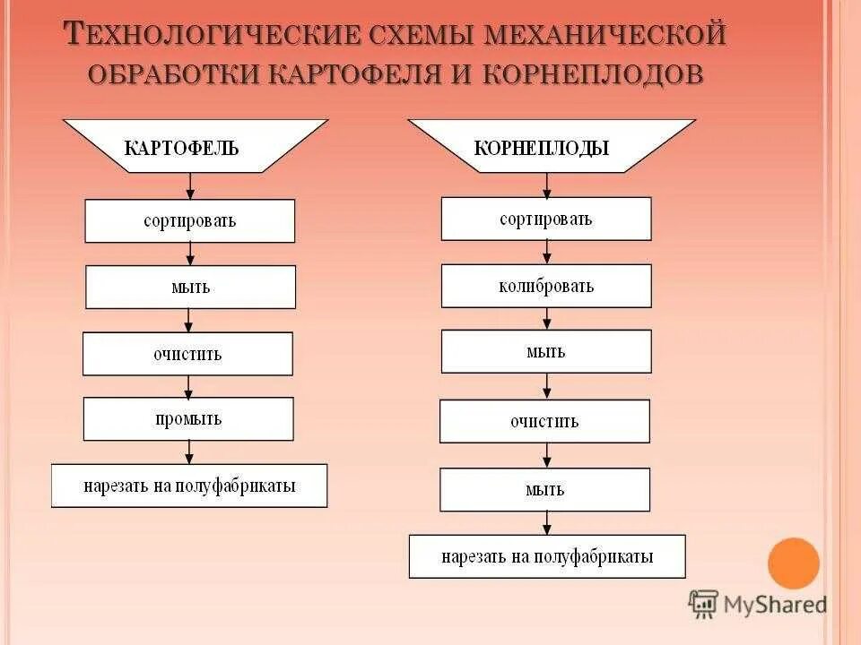 Последовательность приготовления овощей. Технологическая схема обработки корнеплодов. Первичная обработка корнеплодов и клубнеплодов. Первичная обработка корнеплодов схема. Технологическая схема первичной обработки картофеля.