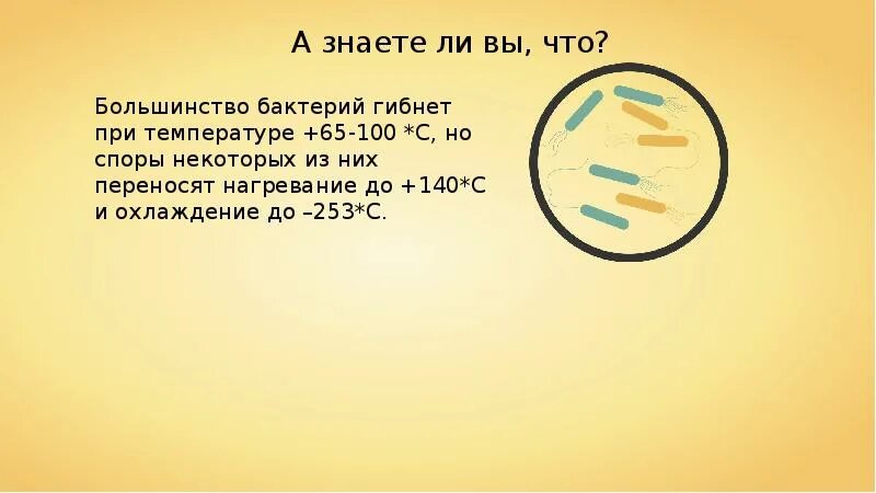 Бактерии гибнут от. Бактерия гибнет при температуре. Микробы гибнут. Споры бактерий погибают при температуре. Споры микроорганизмов при 100 градусов погибают.