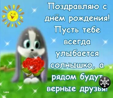Верные др