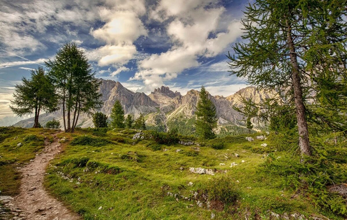 Горы горный хребет на горы горная долина. Горный алтай склон тропинка лес. Тропинка в горах. Грин маунтинс хребет. Альпийские луга каракольские озера.