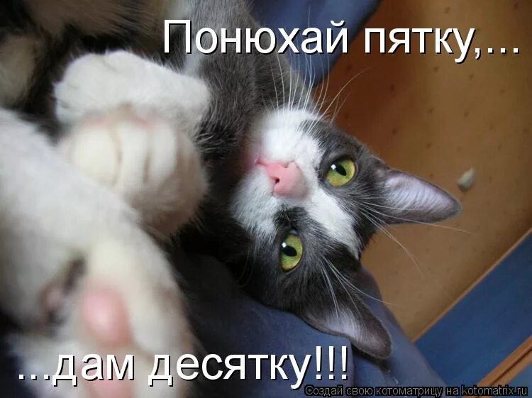 я что похож на абонента мем. пияница говорит спасибо. злой школьник. дай десятку трубы горят. дай десятку.