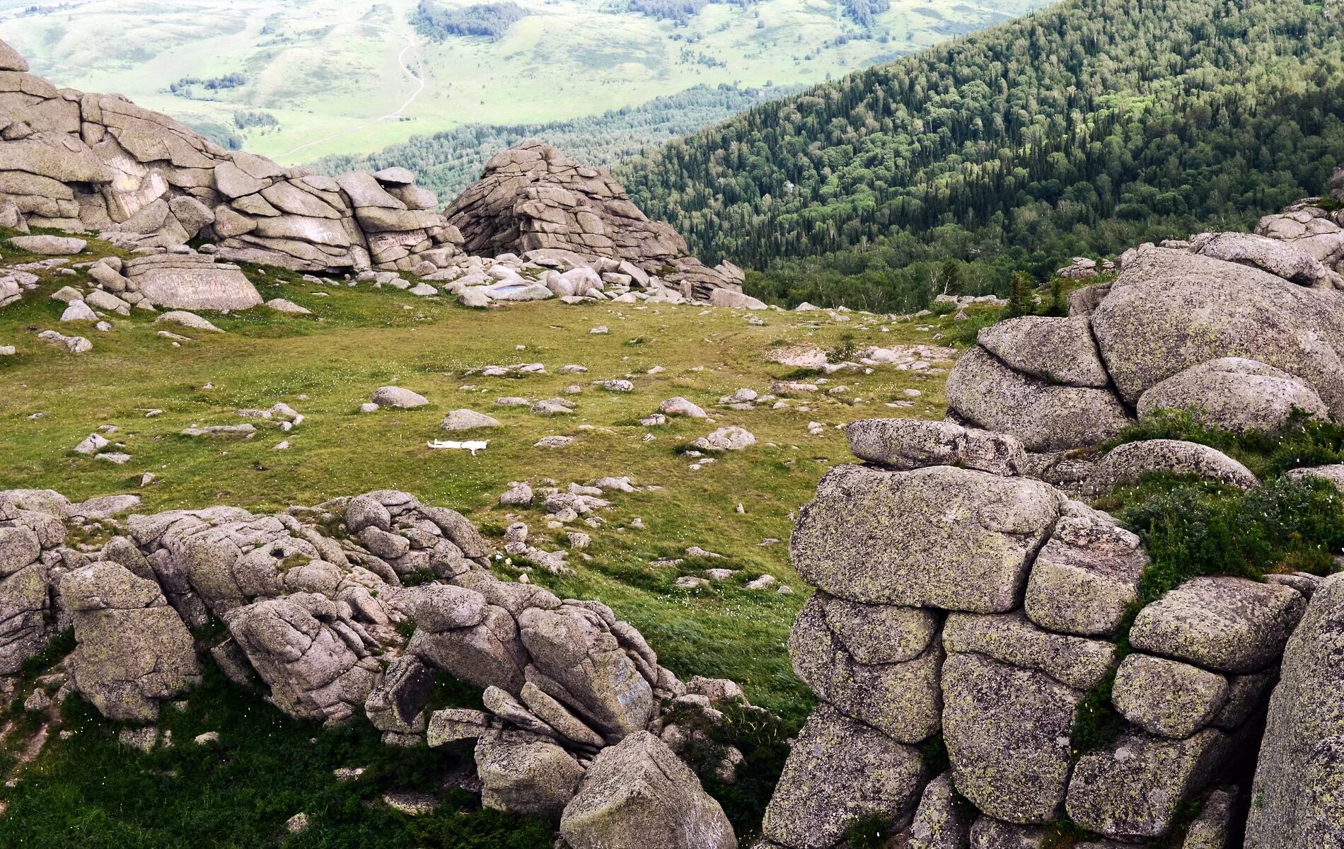 Сардиния каменная гора. Каменная Поляна Республики Алтай. Каменные осыпи горный Алтай. Каменистый склон горы.