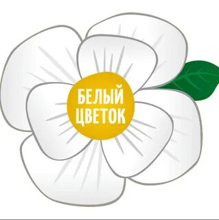 Белые цветы для детей