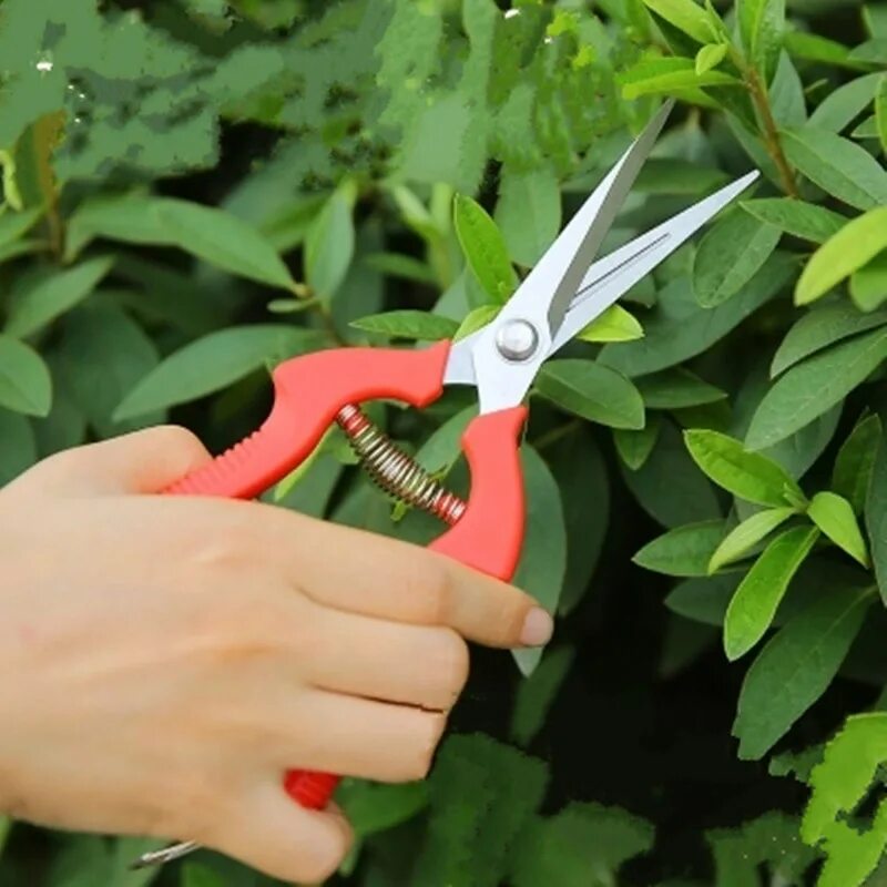 Секатор pruning shears. Большие ножницы для срезания. Секатор палисад. Fiskars px93. Секатор садовый большой.