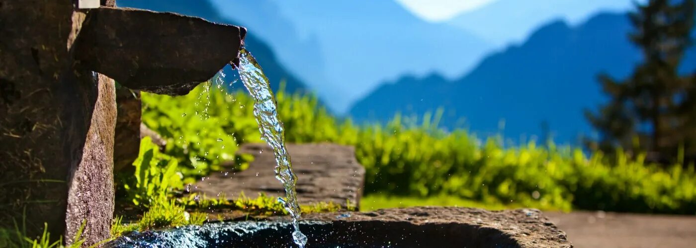 Растительный источник воды. Родник в горах. Источники питьевой воды в природе. Чистый источник. Природный Родник.